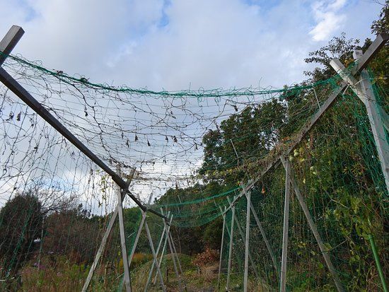 Benten fureai-no-mori Park